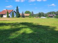 Großzügiges, landschaftlich wunderbar gelegenes, massives Eigenheim mit Keller und großem Grundstück und Scheune, sowie Waldoption - Krauschwitz