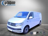 VW T6, 2.0 TDI Kasten lang, Jahr 2019 - Brandis