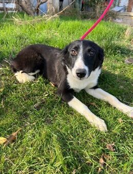 Wunderschöne Hannah sucht ihre Familie - Siggelkow