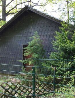 Waldhaus in Alleinlage - Schmelz