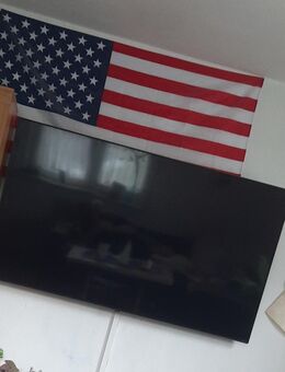 LGLED FLACHBILD FERNSEHER 65 Zoll - Offenbach (Main) Tempelsee