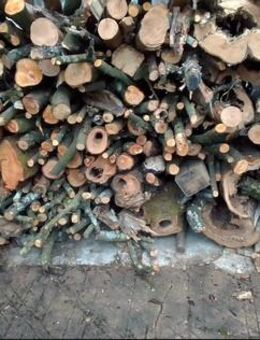 Brennholz Holz Apfelbaum, Zwetschge 75 € je Ster - Fichte nur 59 €/Ster - Hösbach