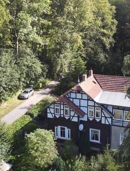 Leben inmitten der Natur - Thale