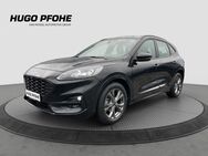 Ford Kuga, 2.0 ST-Line Diesel, Jahr 2023 - Bad Segeberg