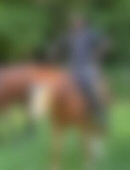 Ahm*** - Überlingen