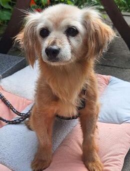 RANIA - Omi sucht Endstelle - Velbert