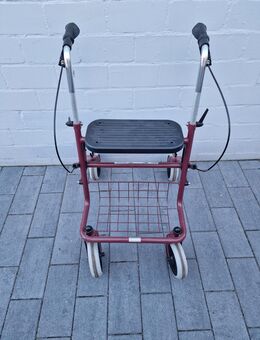 Rollator gebraucht - Fehmarn