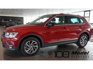 VW Tiguan, 1.5 TSI IQ DRIVE | | App |, Jahr 2019 - Blaufelden