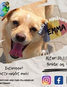 EMMA - hat Indianerblut in den Adern - Waakirchen