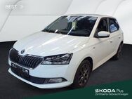 Skoda Fabia, 1.0 TSI SOLEIL 16ZOLL, Jahr 2019 - Mühlheim (Main)