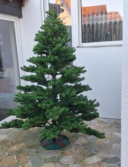 Weihnachtsbaum künstlich - Hannover