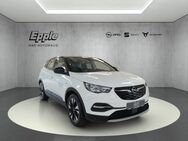 Opel Grandland, 1.2 Elegance Turbo EU6d El Mehrzonenklima, Jahr 2021 - Rutesheim