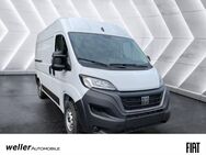 Fiat Ducato, L2H2 Kastenwagen, Jahr 2024 - Bietigheim-Bissingen