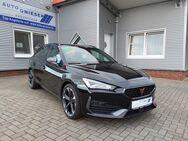 Cupra Leon Sportstourer 2.0 TDI DSG AHK/ACC/LED/PDC... - Apen