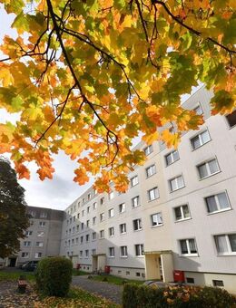Wohnung mit Ausblick - Lugau (Erzgebirge)