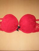 roter Schalen BH 85B in 85452