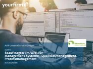 Beauftragter (m/w/d) für Management-Systeme - Qualitätsmanagement, Prozessmanagement - Sinsheim