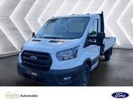 Ford Transit, 2.0 l EcoBlue Pritsche 350 L3 Trend Einzelkabine - Überrollschutz, Jahr 2023 - Bietigheim-Bissingen