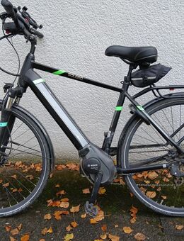 E-Trecking bikes zu verkaufen - Landau (Pfalz)