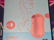 Tausche Druckwellenvibrator *Neu* - Coburg Zentrum