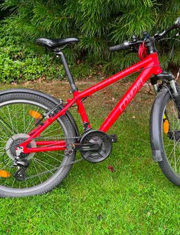 Compel HTS 240 | 24 Zoll Kinderfahrrad | Alu | Shimano Altus | 21-Gang - Mettingen