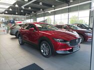 Mazda CX-30, Exclusive, Jahr 2022 - Hemmingen (Niedersachsen)