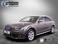 Audi A4 allroad quattro 2.0 TDI S tronic - Brandis