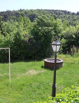 Ruhig gelegene Doppelhaushälfte mit zwei Wohnungen am Ortsrand von Ebern - Ebern