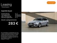 Audi A4, Avant 30 TDI, Jahr 2024 - Schweinfurt