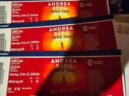 4 Tickets ANDREA BERG 22.03.2025 Hannover - Hamburg