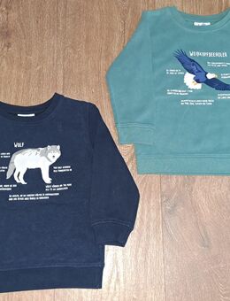 2 Sweatshirts für Jungs Gr.104 von Topolino - Königswinter