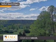 Moderne geräumige Wohnung nur 7 km von Kaiserslautern - Rodenbach (Rheinland-Pfalz)