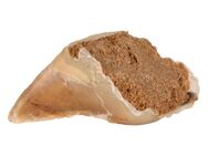 Trixie Kauhuf Fleischpastete - Sparpaket: 10 x 115 g