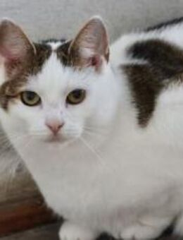 Lore sucht liebevolle Familie - München