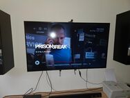 Hinsense 65 zoll tv - Storkow (Mark)