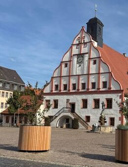 Wohnhaus mit kleinem Grundstück und Potential sucht neue Bewohner - Grimma