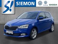 Skoda Fabia, 1.0 MPI Cool Plus, Jahr 2019 - Salzbergen