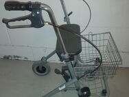 Rollator, gebraucht - Frankfurt (Main) Sossenheim