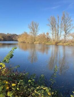 Saalekreis: Idyllisches Wohnen im Saaletal, für Großfamilie oder 2 Familien, mit Swimmingpool - Wettin-Löbejün