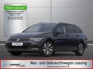 VW Golf VIII Variant 1.5 TSI Move // LED/Parklenkassistent/SHZ/LHZ - Thannhausen