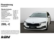 Skoda Octavia, 1.4 TSI Combi iV Style, Jahr 2021 - Hildesheim