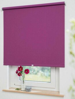 Springrollo Uni, Liedeco, verdunkelnd, mit Bohren, freihängend, verschraubt, Rollowelle 36 mm, starke Feder