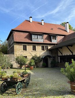 Historisches Mühlenanwesen mit mehreren Wohneinheiten in Willanzheim - Willanzheim