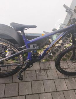Bergamont trailster 6 - Bad Wurzach