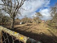 kleines, gepflegtes Stückchen Gartenland in Sundhausen zu verpachten - Sundhausen