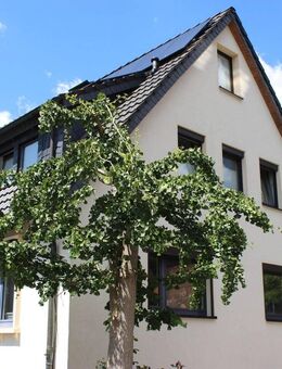 EFH/ZFH im Top-Zustand, sofort zu übernehmen - Bad Gandersheim
