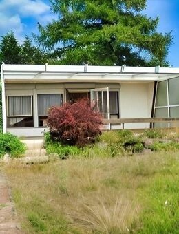 Ferienbungalow auf Baugrundstück unweit des idyllischen Petzinsees - Schwielowsee