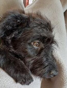 James° 61250 Usingen - Wolfhagen