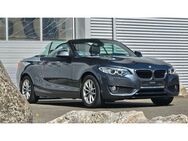 BMW 220 d Cabrio Advantage Sport Navi Shzg Klima Xen - Friedrichsdorf