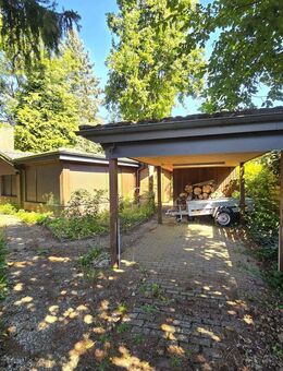 Uriges Holzhaus mit Kamin - ideal als Ferien- oder Singlehaus - Dahlenburg